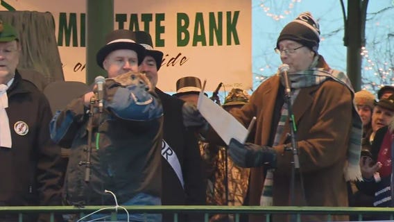 Woodstock Willie makes his Groundhog Day prediction