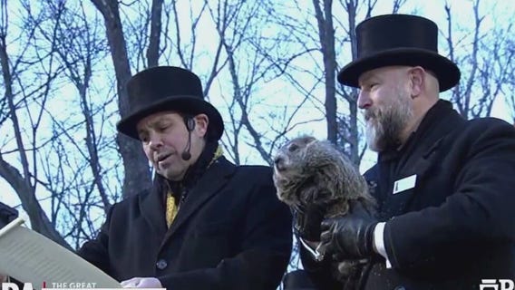 Punxsutawney Phil, Woodstock Willie make their Groundhog Day predictions
