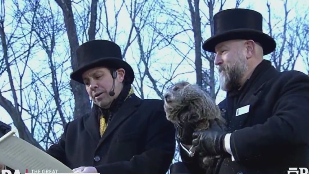 Punxsutawney Phil, Woodstock Willie make their Groundhog Day predictions