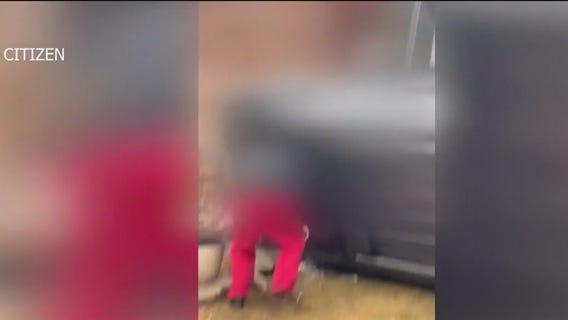 Car slams into home on Chicago's Southwest Side, residents say