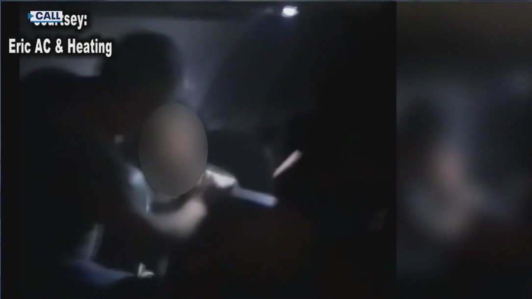 'Absolutely chaotic?: Passenger breaks jet window mid-flight