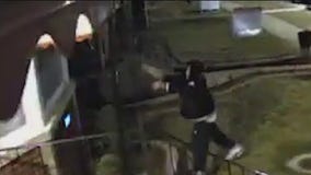 Cicero town president candidate targeted by vandals