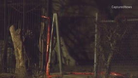 Teen charged in fatal shooting of 12-year-old Chicago girl