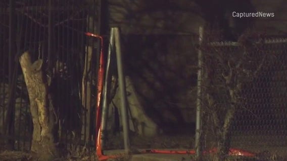 Teen charged in fatal shooting of 12-year-old Chicago girl