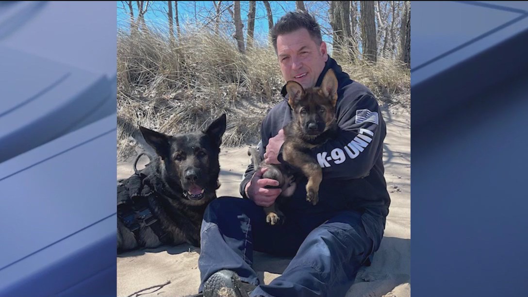 K9 Dax's legacy to be carried on by his son