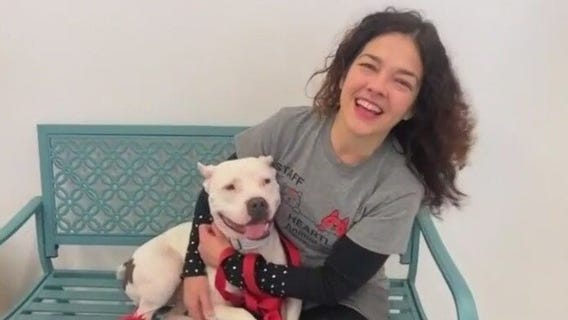 Chicago area animal shelter reopens after devastating flood