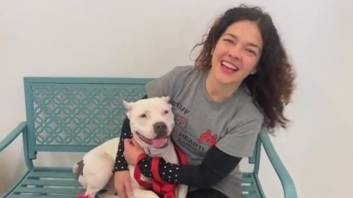 Chicago area animal shelter reopens after devastating flood