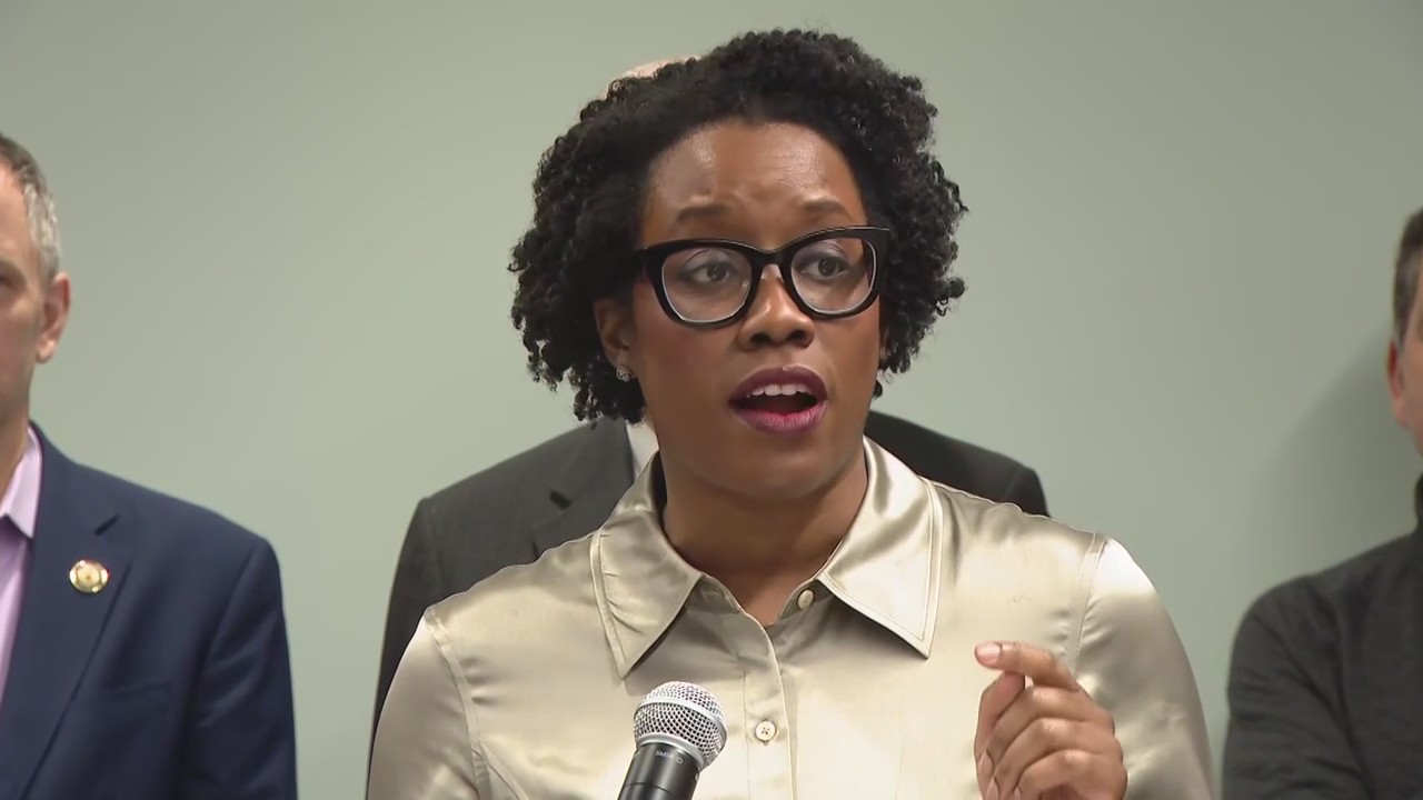 Democratic Illinois members of Congress blast Trump budget cuts