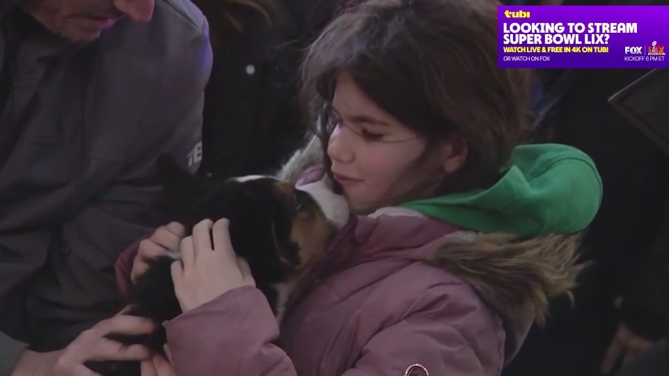 Brooklyn hosts 'Puppy Bowl' watch party