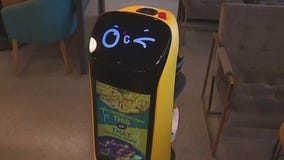 BellyBowl in Bridgeport harnesses the power of robots for unique dining experience