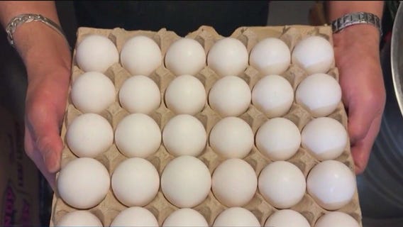 The billion-dollar plan to bring egg prices back down