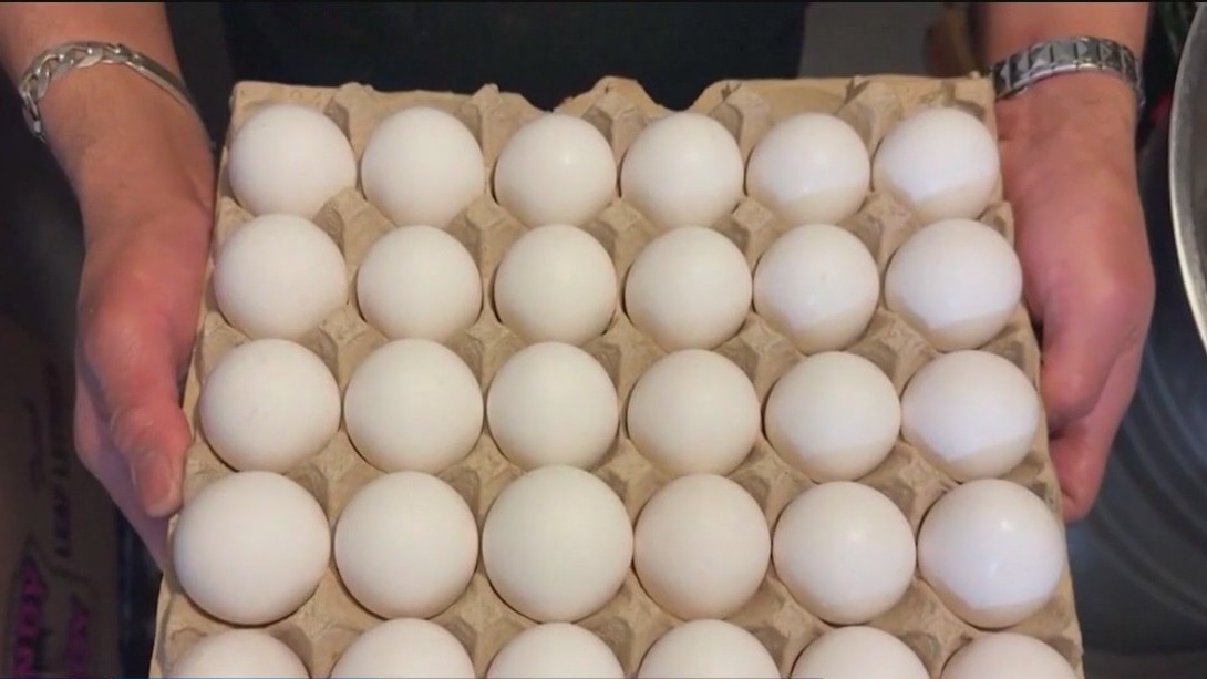 The billion-dollar plan to bring egg prices back down