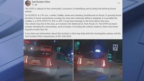 Suburban police search for driver who struck pedestrian, fled the scene