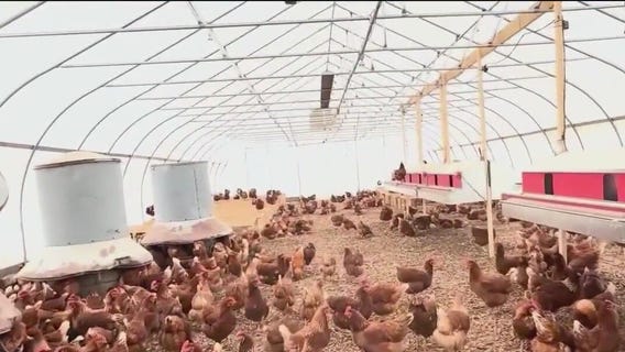 Cook County farm says $200K grant and two other pending grants were canceled