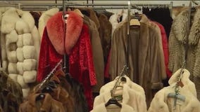 Chicago City Council to vote on fur products ban