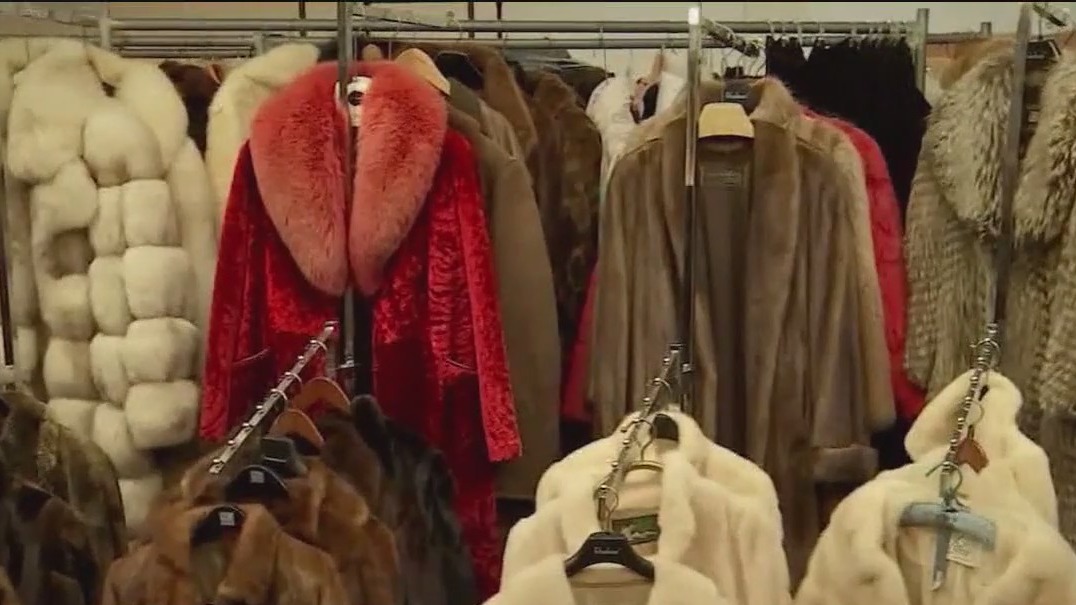Chicago City Council to vote on fur products ban