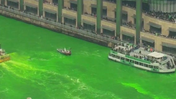 Does dyeing the river green impact the fish?