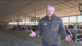 Trump threatens new tariffs on Canadian dairy imports: 'No one's winning'