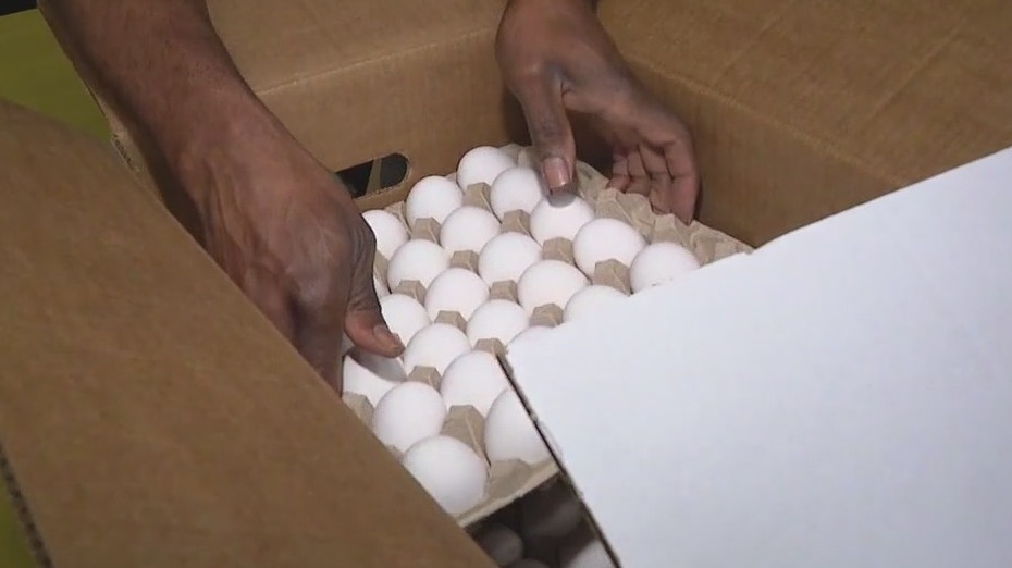Chicago pastor giving away 40,000 eggs