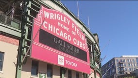 Cubs fans gear up for Tokyo series