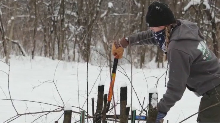 Chicago's Shedd Aquarium gives volunteers chance to give back