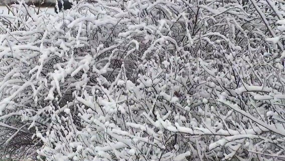 Chicago area hit with snow on first day of astronomical spring