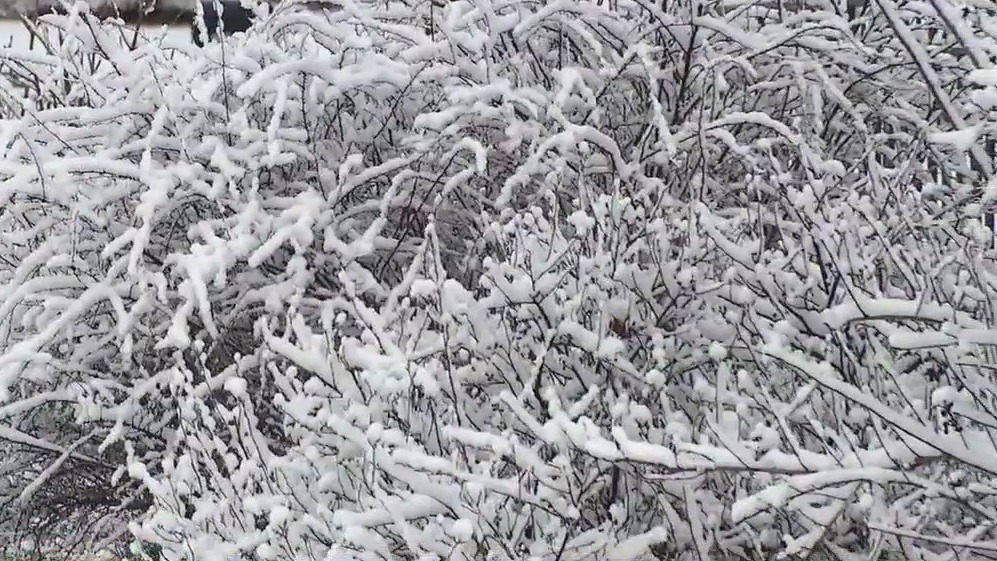 Chicago area hit with snow on first day of astronomical spring