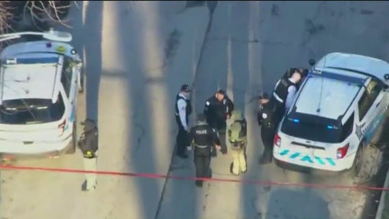 8-year-old boy dead, 5-year-old injured in South Side shooting: police