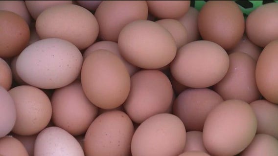 Amid rising egg prices, farmers turn to AI to produce more