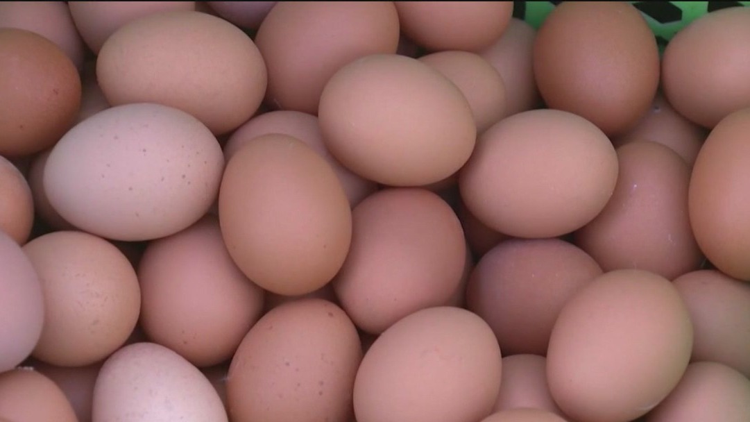 Amid rising egg prices, farmers turn to AI to produce more