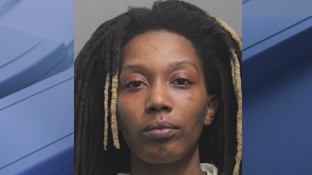 Chicago woman charged in CTA Red Line murder | FOX 32 Chicago