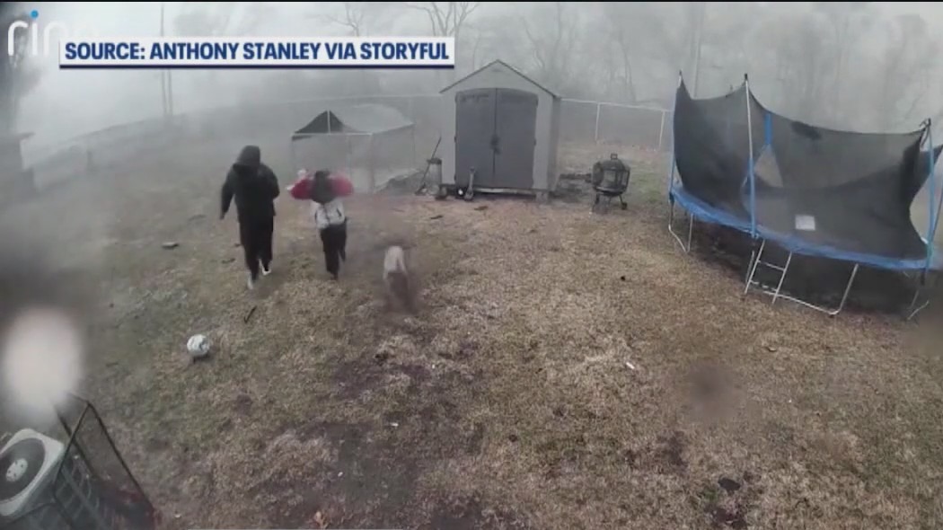 Dog saved from tornado in Gary
