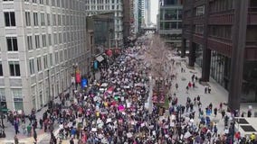Thousands protest against Trump, Musk in downtown Chicago and suburbs