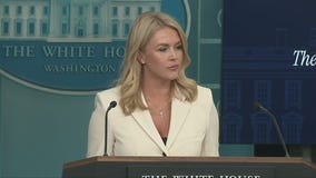 White House stays out of public spat between Elon Musk and Peter Navarro: 'Boys will be boys'