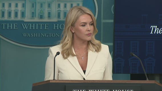 White House stays out of public spat between Elon Musk and Peter Navarro: 'Boys will be boys'