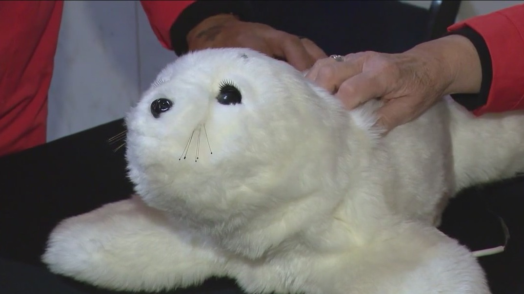 Robot Block Party kicks off at the Griffin Museum of Science and Industry