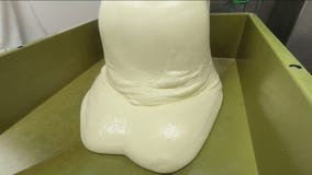 Behind the scenes look at the making of Caputo cheese