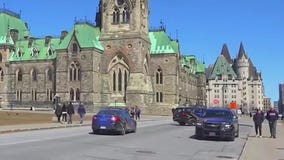 Trump tariffs: Some big-name automakers no longer shipping to US