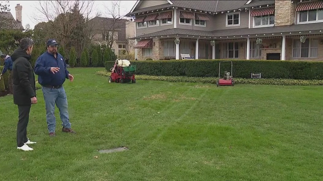 Lawncare and gardening tips to help your home blossom this spring