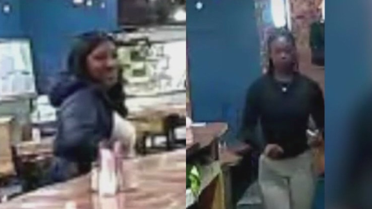 Chicago waitress brutally attacked by customers displeased with food, owner says