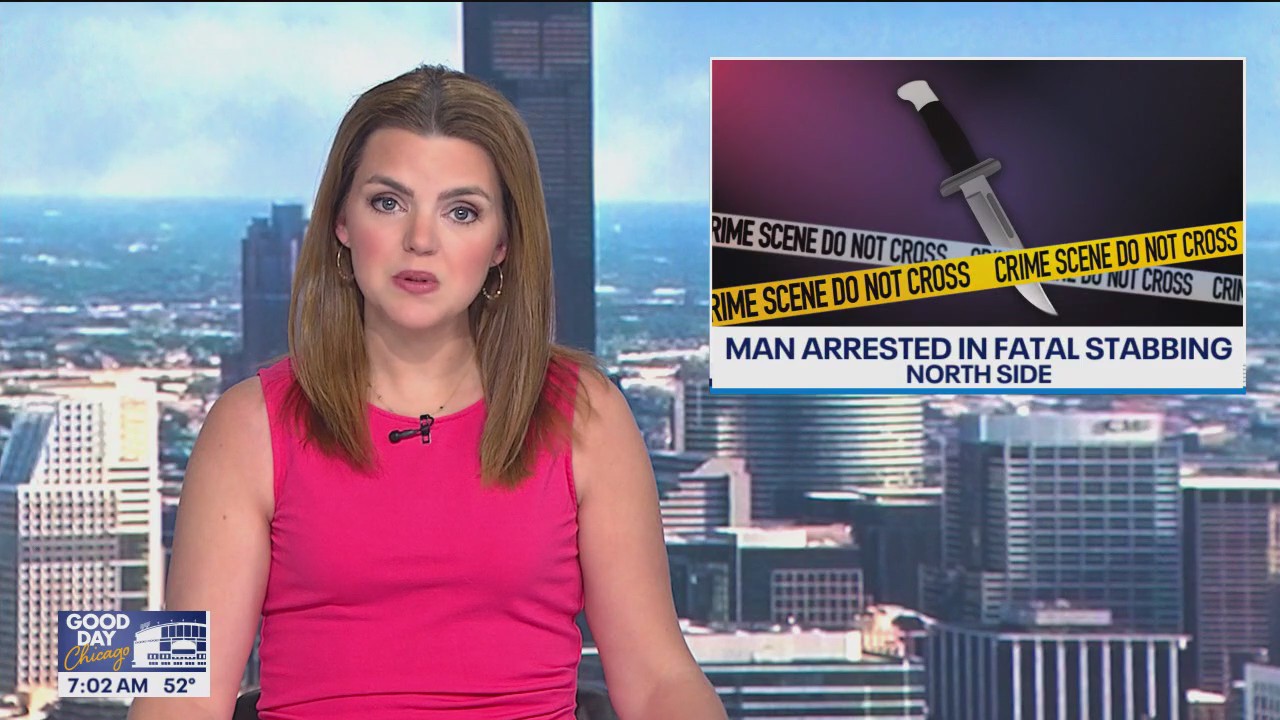 Woman fatally stabbed on Chicago?s North Side, police say
