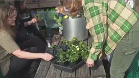 Avondale Gardening Alliance sprouts new hope for urban agriculture