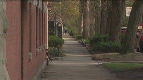 Man accused of chasing, shoving 3 women at DePaul University prompts campus safety alert