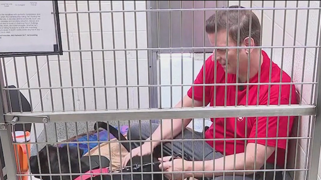 FOX 32's Scott Schneider gets 'caged for a cause'