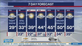 NYC weather forecast