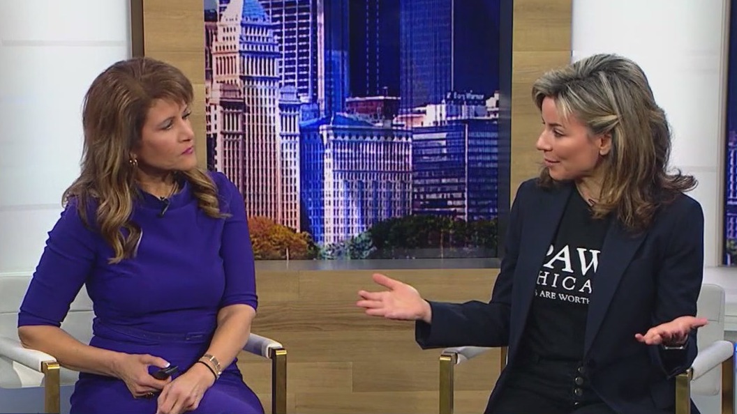 What to know about PAWS Chicago's Spay Day