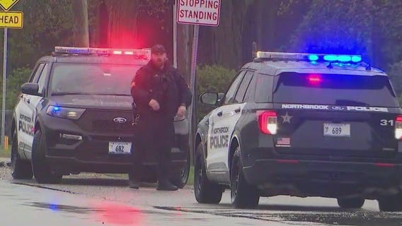 Northbrook hit-and-run leaves 1 dead