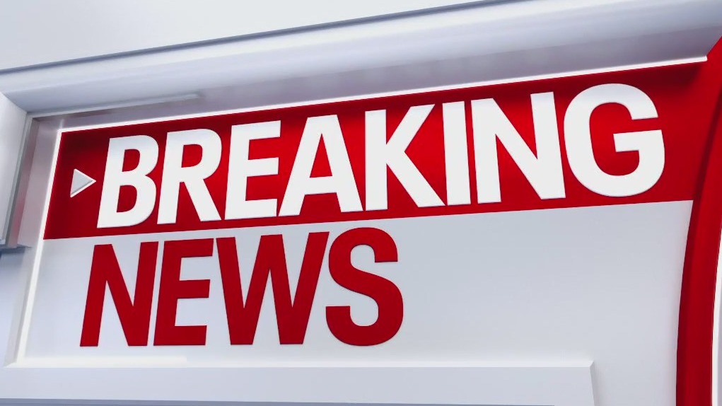 5 stabbed during fight on Chicago's Southwest Side, police say