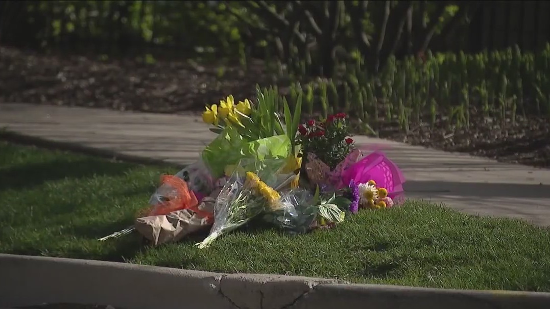 2 killed, infant critically hurt after being struck by car in Winnetka ...