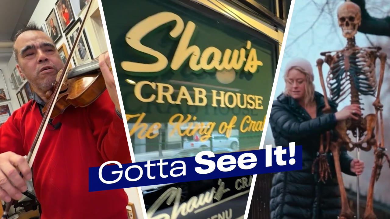 Gotta See It: Arts and Afterlife